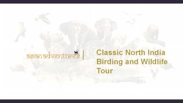 presentation player overlay