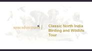Classic North India Birding and Wildlife Tour