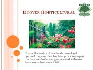 Hoover Horticultural - Landscape Design Expert