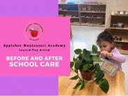 Before And After School Care