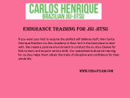 Chbjjteam.com - Endurance Training for Jiu Jitsu