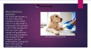 Veterinary Care Online Services-preferredsavingsllc