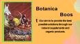 Blood Sugar Support Supplement-botanicaboost PowerPoint PPT Presentation