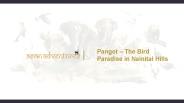 Birding in Pangot Uttarakhand