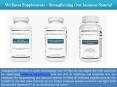 Wellness Supplements – Strengthening Our Immune System PowerPoint PPT Presentation