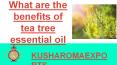 Benefits of Tea Tree Essential Oil PowerPoint PPT Presentation