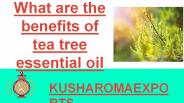 Benefits of Tea Tree Essential Oil