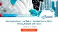 Aloe Barbadensis Leaf Extract  Market Report 2020   History, Present and Future PowerPoint PPT Presentation