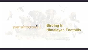 india birding tour January