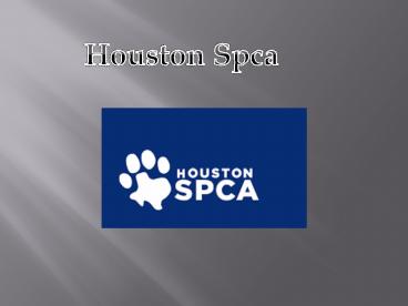 Houston Animal Cruelty and Rescue SPCA