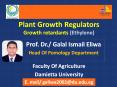Plant Growth RegulatorsGrowth retardants (Ethylene) PowerPoint PPT Presentation