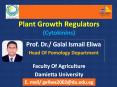 Plant Growth Regulators(Cytokinins) PowerPoint PPT Presentation