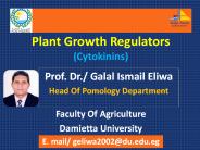 Plant Growth Regulators(Cytokinins)