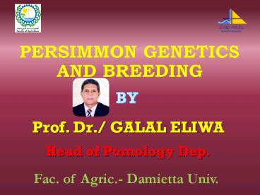 PERSIMMON GENETICS AND BREEDING