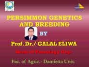 PERSIMMON GENETICS AND BREEDING