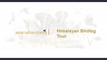 Himalayan birding tour