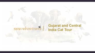 wildlife sanctuaries in india