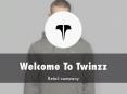 Twinzz Presentation PowerPoint PPT Presentation