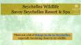 Seychelles Wildlife by Savoy Seychelles Resort & Spa PowerPoint PPT Presentation