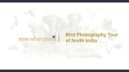 Bird photography tours