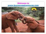 Kenya Camping Tours-The Ultimate Kenyan Experience