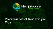 Prerequisites to consider before removing a tree
