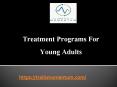Treatment Programs For Young Adults - www.trailsmomentum.com PowerPoint PPT Presentation