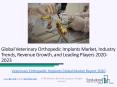 Global Veterinary Orthopedic Implants Market Characteristics, Forecast Size, Trends Till 2023 PowerPoint PPT Presentation
