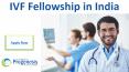 IVF Fellowship in India (3) PowerPoint PPT Presentation