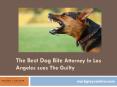 The Best dog bite attorney Los Angeles | Grayson & Grayson PowerPoint PPT Presentation