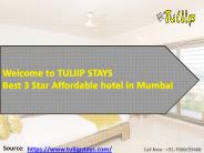 Tulipstays