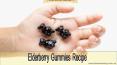 Boosting Kids Immunity - Elderberry Gummies Recipe PowerPoint PPT Presentation