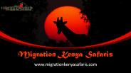 Migration Kenya Safaris