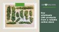 Buy wholesale CBD products from a reliable online store