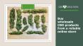 Buy wholesale CBD products from a reliable online store (1)
