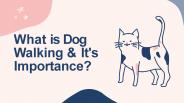 What is Dog Walking & It's Importance