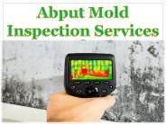 Abput Mold Inspection Services