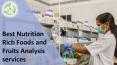 Best Nutrition Rich Foods and Fruits Analysis services PowerPoint PPT Presentation
