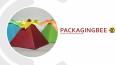 Pyramid Boxes With Logo PowerPoint PPT Presentation