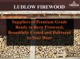 Suppliers of Premium Grade Ready to Burn Firewood PowerPoint PPT Presentation