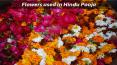 Different types of Flowers used in Hindu Pooja PowerPoint PPT Presentation