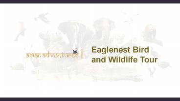 presentation player overlay