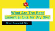 Organic Essential Oils For Dry Skin