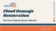 Professional Flood Damage Cleanup and Repair in MI