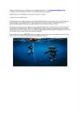 Freediving certification Nusa Lembongan PowerPoint PPT Presentation
