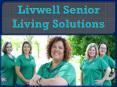 Livwell Senior Living Solutions PowerPoint PPT Presentation