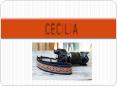 Features Of Cecilia Camera Bags PowerPoint PPT Presentation