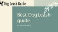 Dog Leash Guide PowerPoint PPT Presentation
