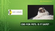 Cbd for pets. is it safe