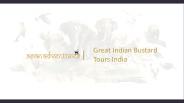 Birding in Rajasthan india